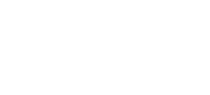Match Plan light logo